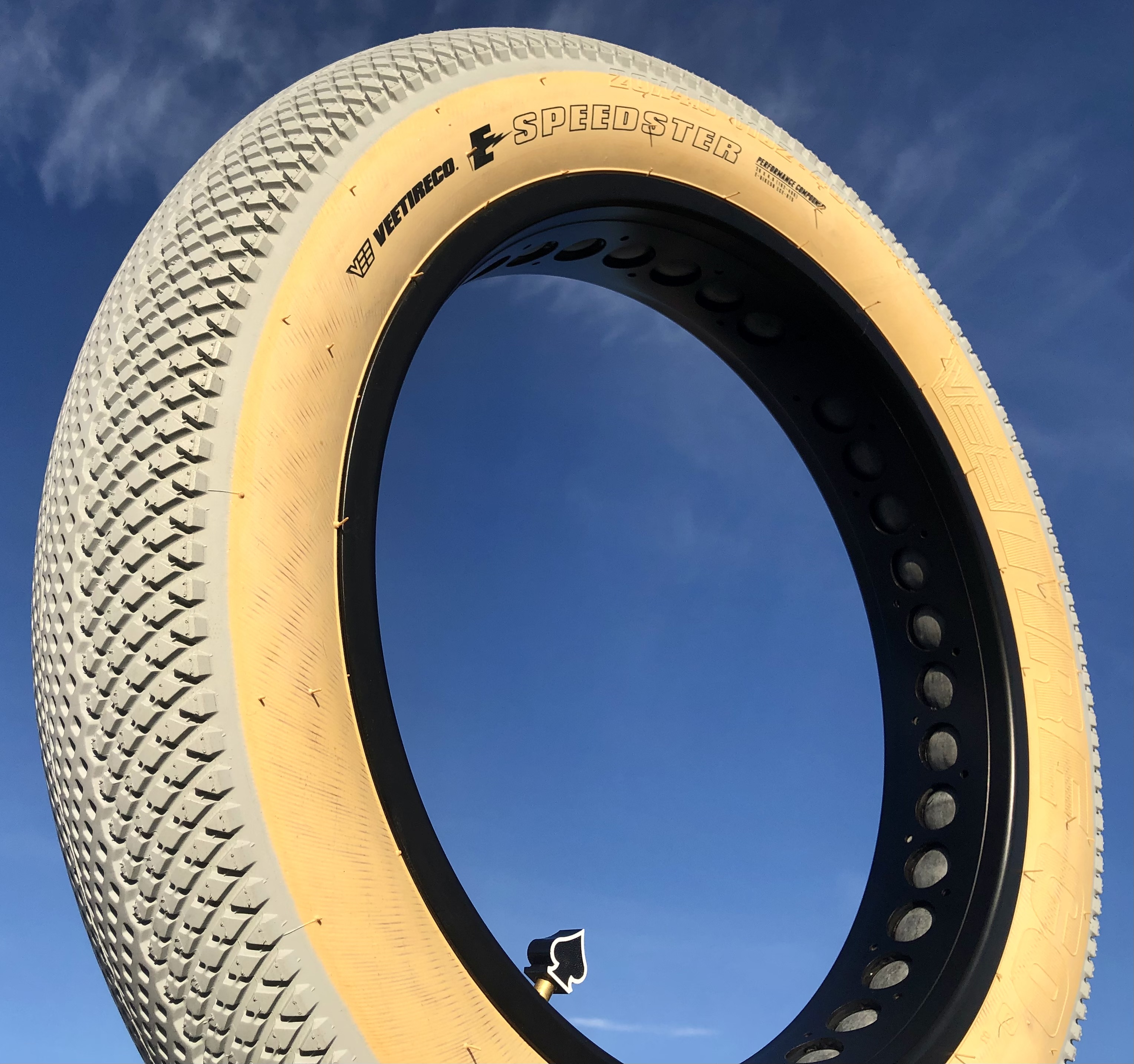 Bicycle_tire_speedster_20x4_Fatbike_limited_edition_grau_skinwall_1