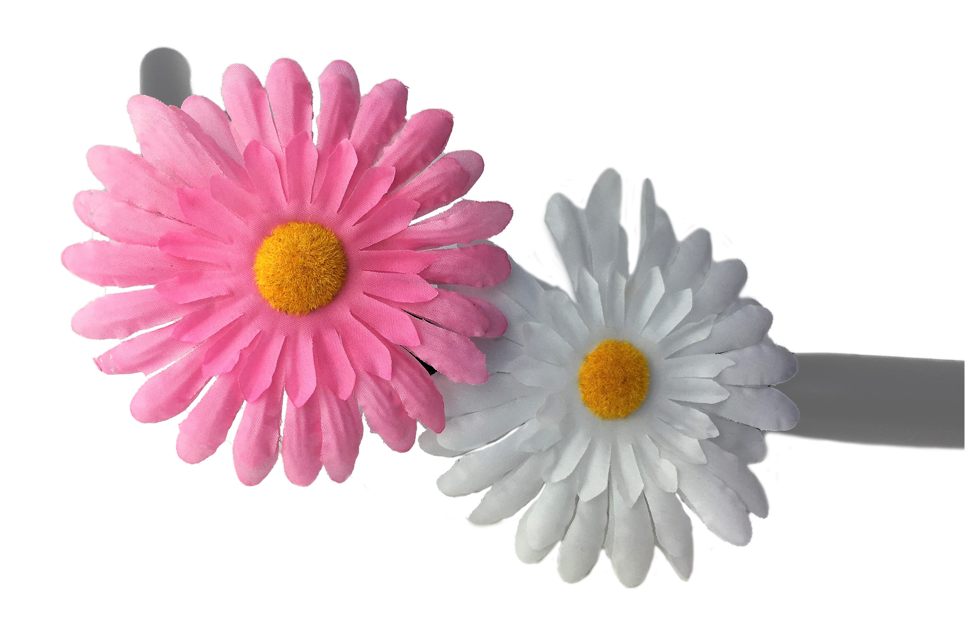 Handlebar flowers Painted Daisy pink and white
