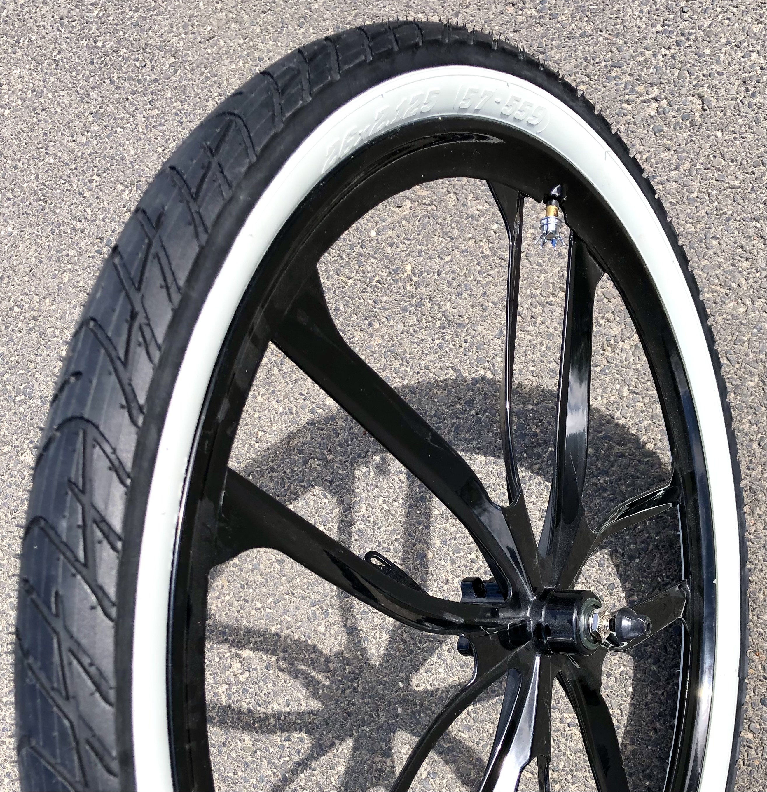 Tire_Beach_Bum_26x2-125_mag_wheel