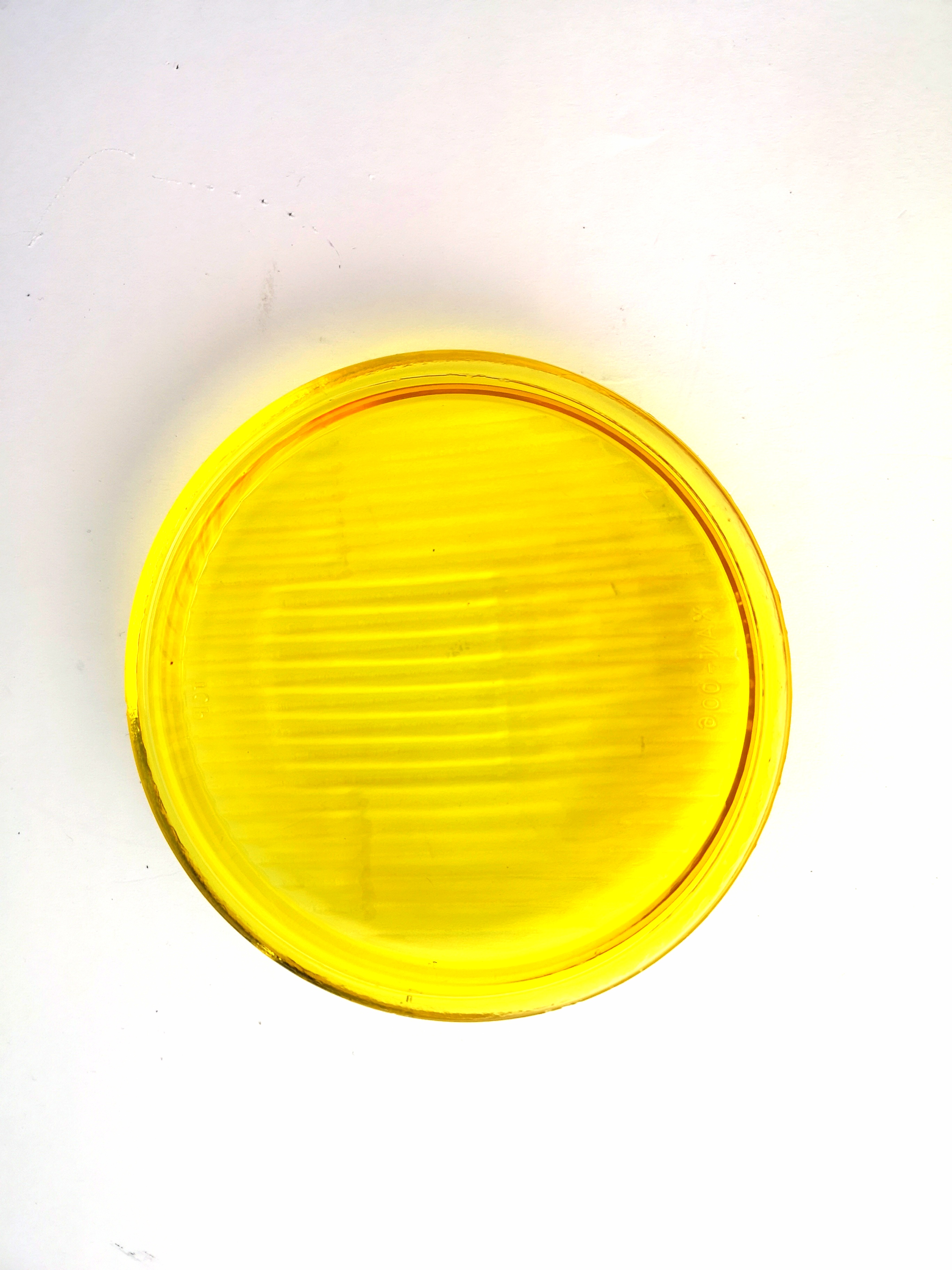 Replacement glass for front lamp NX 453 452, yellow