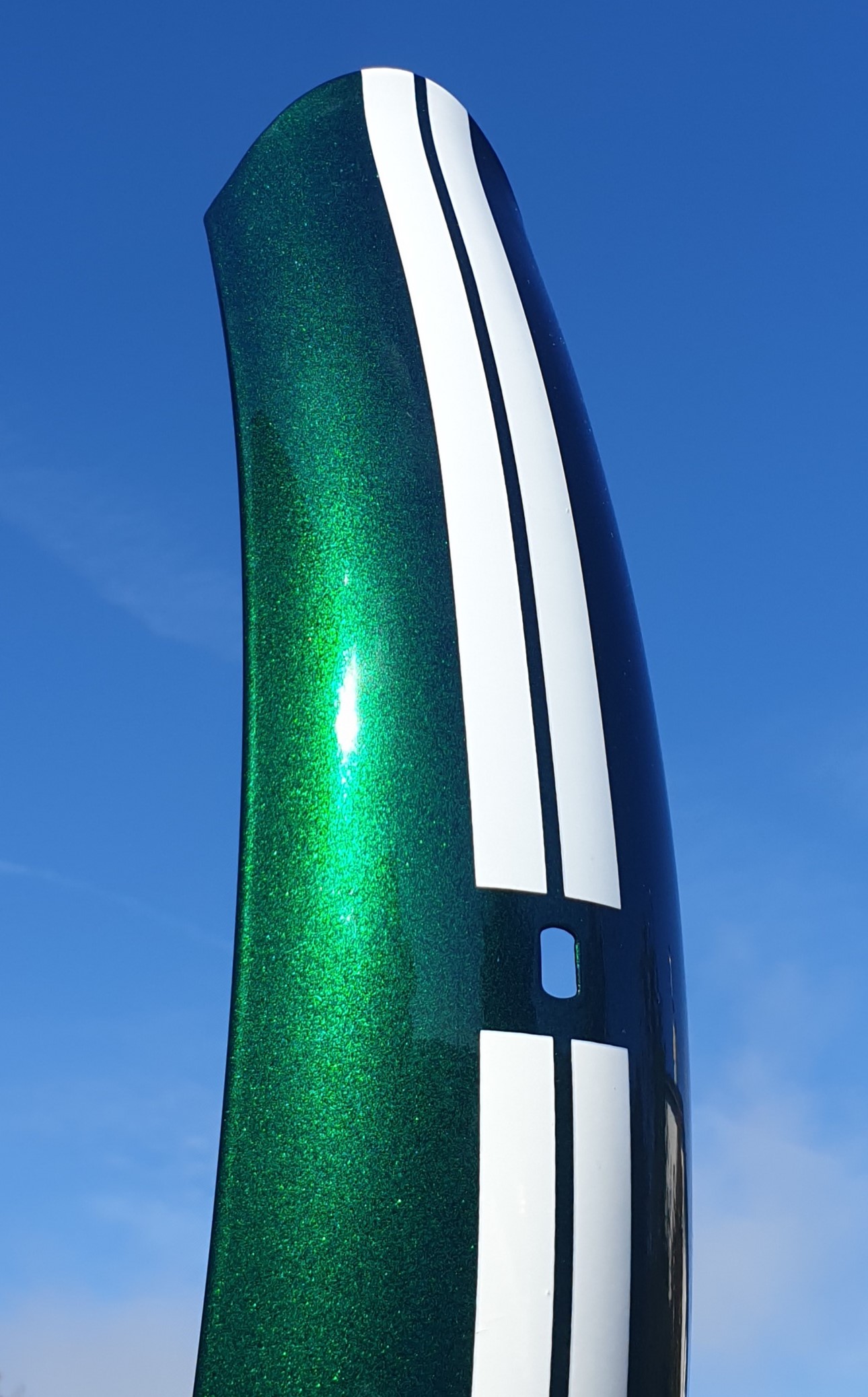 Electra_RallySport_Fender_Rear_15